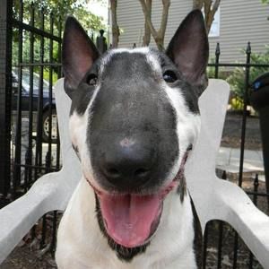 Meet your Posher, Steve